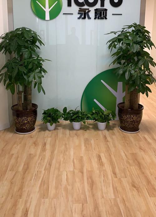 成都永愈企业管理咨询 赋能成都企业管理的专业力量
